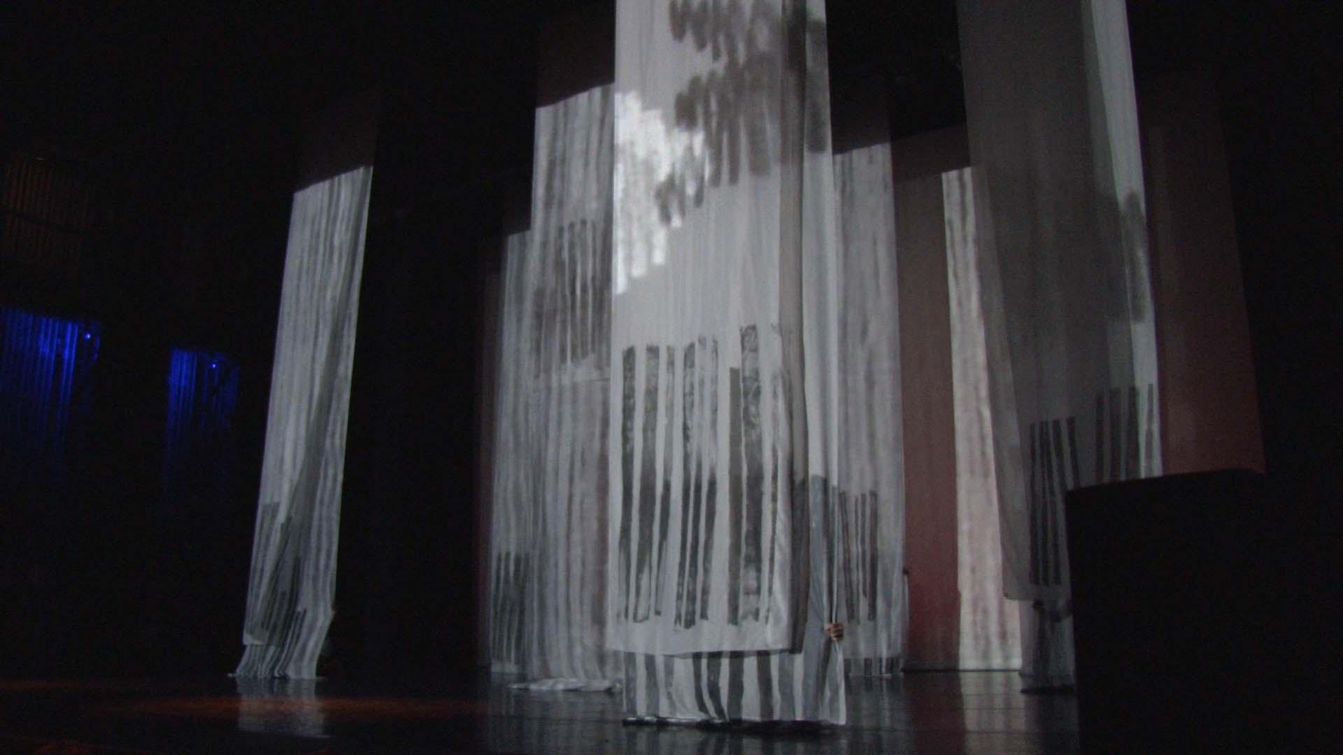 Obstacle Illusion Performance's pictures